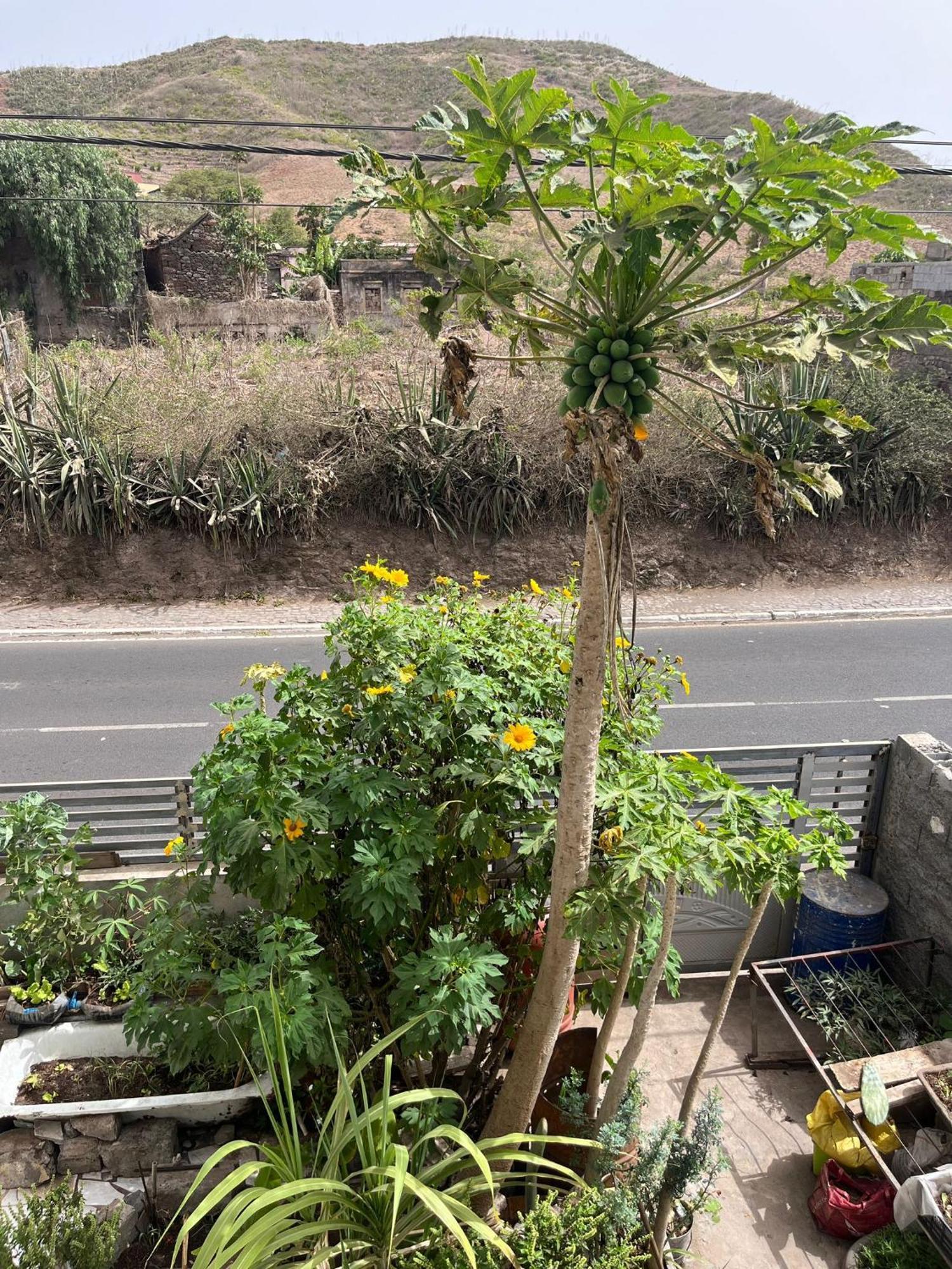Homestay Casa Tota Assomada